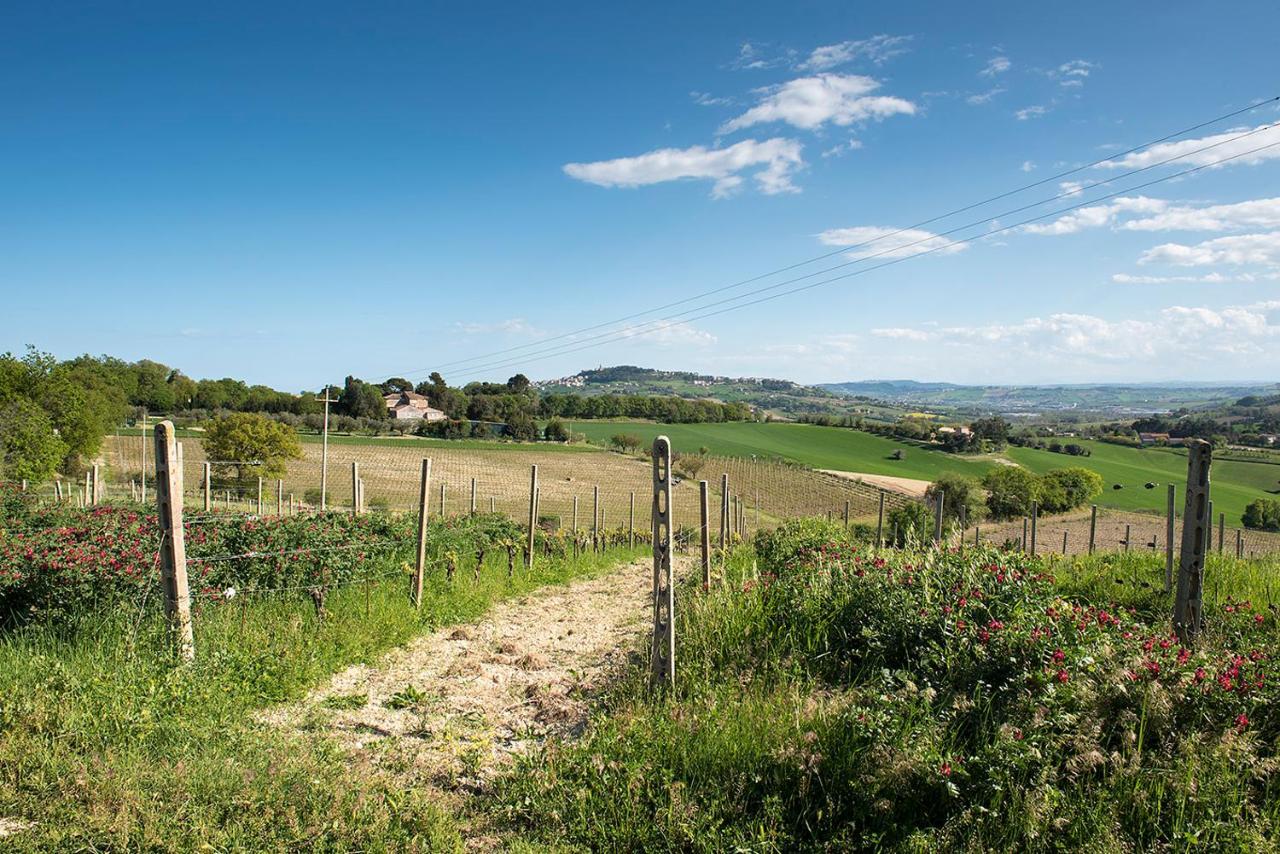 A11 - Varano, Delizioso Trilocale Con Giardino Ancona Eksteriør billede
