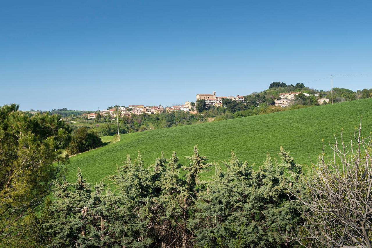 A11 - Varano, Delizioso Trilocale Con Giardino Ancona Eksteriør billede