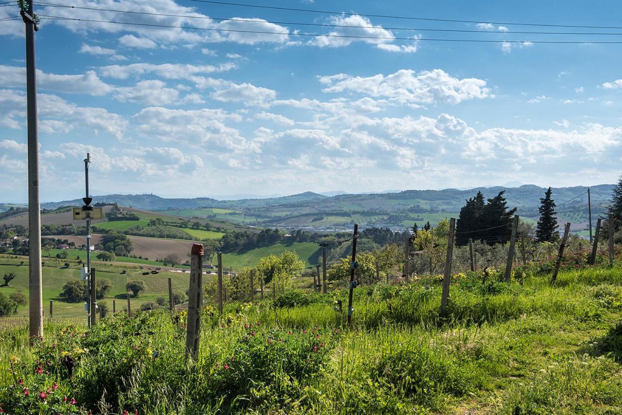 A11 - Varano, Delizioso Trilocale Con Giardino Ancona Eksteriør billede