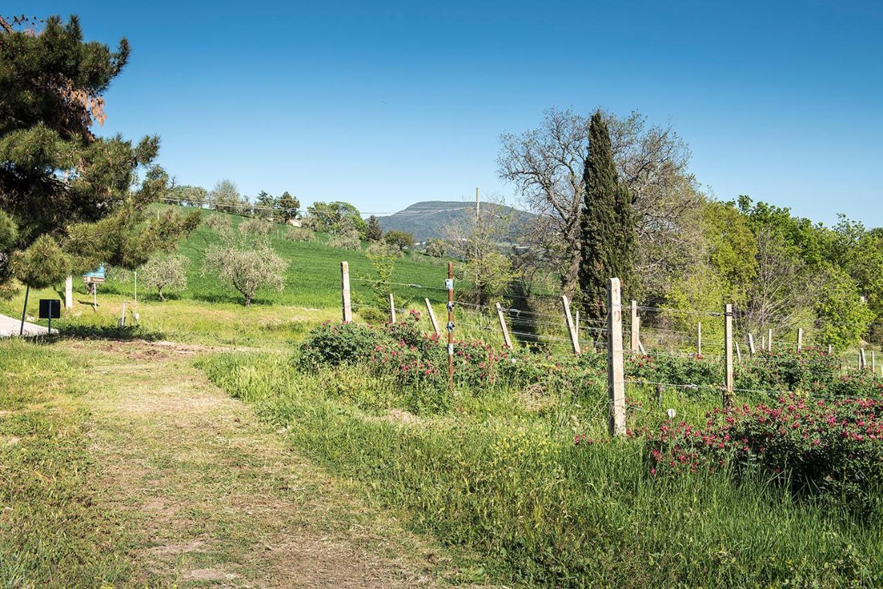 A11 - Varano, Delizioso Trilocale Con Giardino Ancona Eksteriør billede